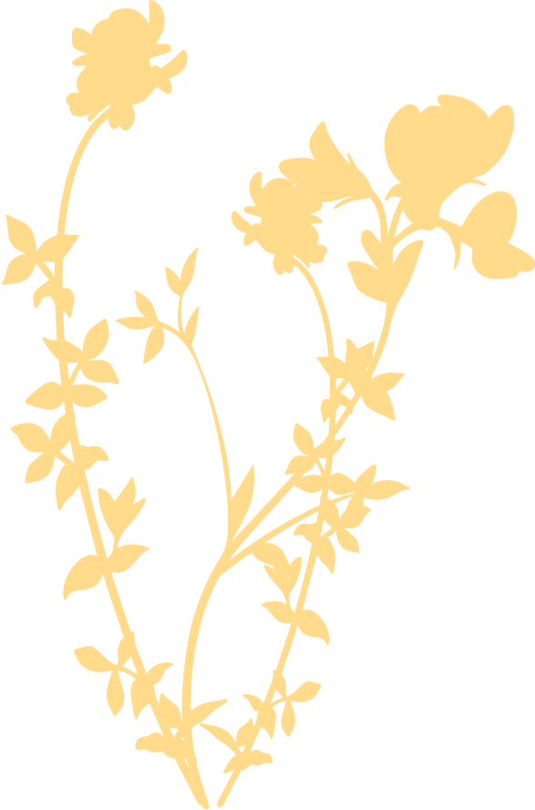 Yellow Graphic of a beach plant.