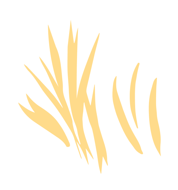 Yellow Marram Grass Graphic