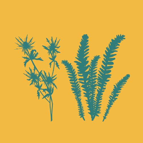 A yellow icon with blue beach plants