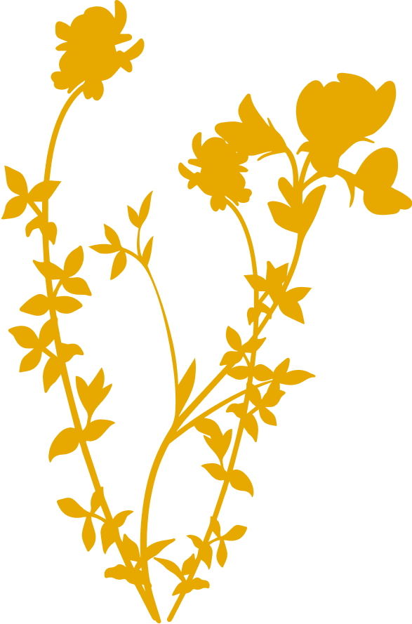 Graphic of a yellow beach plant