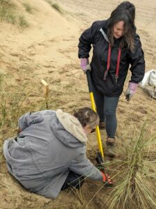 Volunteers dig out invasive species
