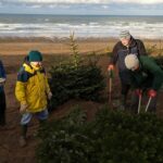 Widemouth Bay Dune Christmas Tree Planting